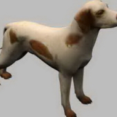 Hound Dog Puppy Canine Pet Carnivorous