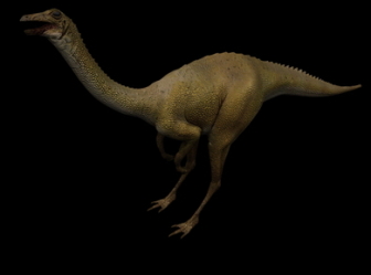 Longicollous Dinosaur