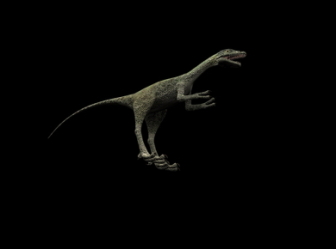Carnivorous Dinosaur