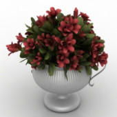 Beautiful Potted Red Flower