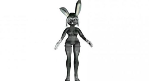 Nancy Rabbit