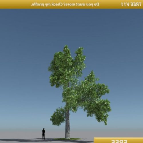 Tree Oak V11