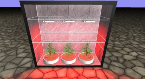 Grow Box (with Light & Plant) V1.1