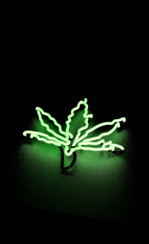 Pot Leaf Neon Light