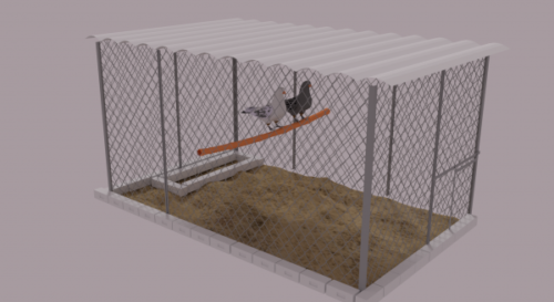 Pigeons In Fence