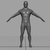 High Poly Male