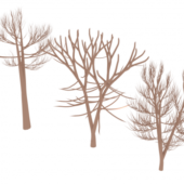 Tree Set