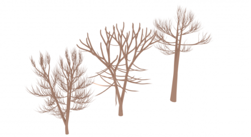 Tree Set