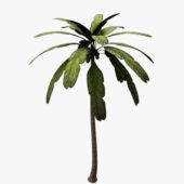 Palm Tree V1