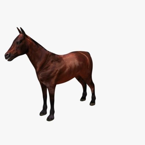 Horse V01