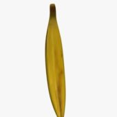 Banana V01