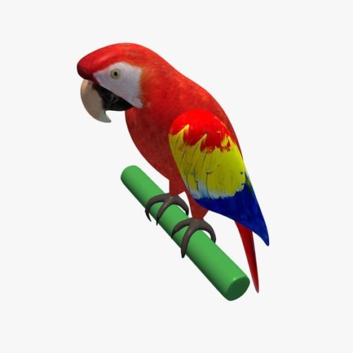 Parrot V1