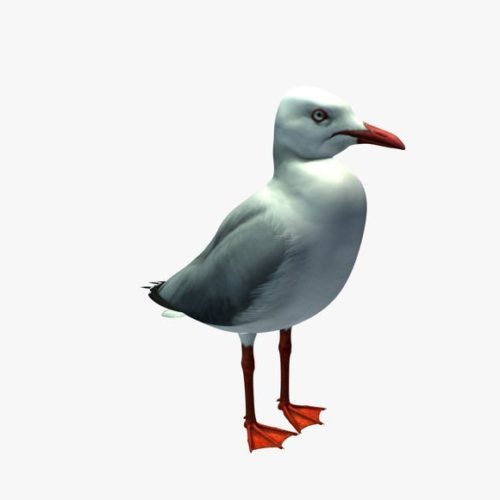Seagull V1