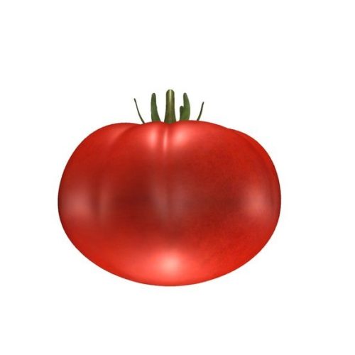 Tomatobeefsteak V1