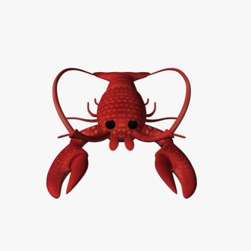 Lobster Animal