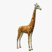 Giraffe V04