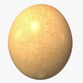 Egg V2
