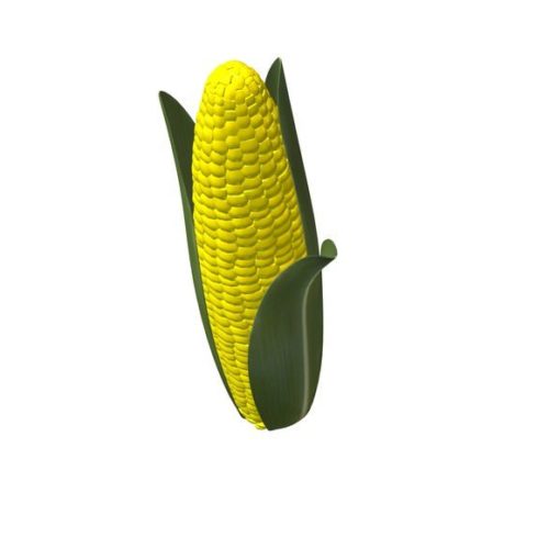 Ear Of Corn Yellow V2