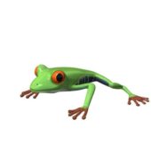 Frog V1