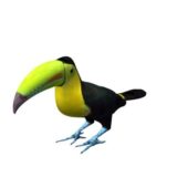 Bird Toucan V3