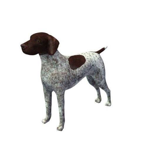 German Shorthaired Dog