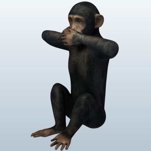 return to monkey download free
