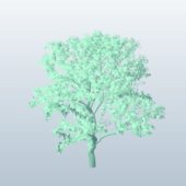 Treesketch Tree1 V1
