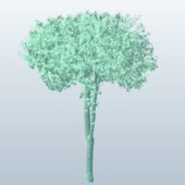 Treesketch Tree5 V1