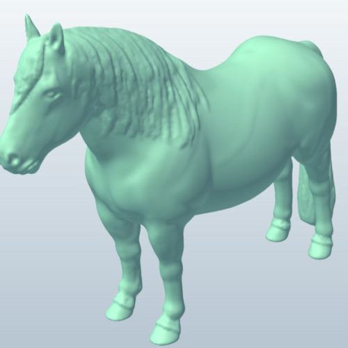 Pony Horse