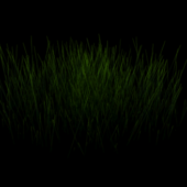 Simple Grass