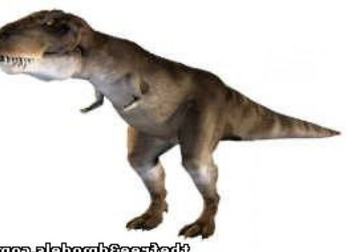 T-rex (tyrannosaurus Rex)