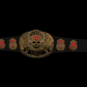 Wwe Championship Belt