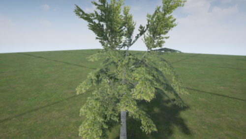 Low Poly Tree Birch