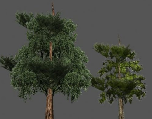 Trees Low Poly