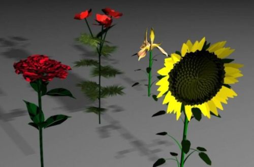 Flowers Low-poly