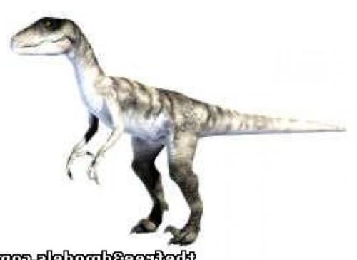 Deinonychus Dinosaur