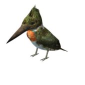 Amazon Kingfisher Bird