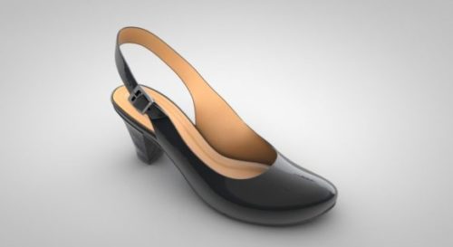 Female Black Shoe