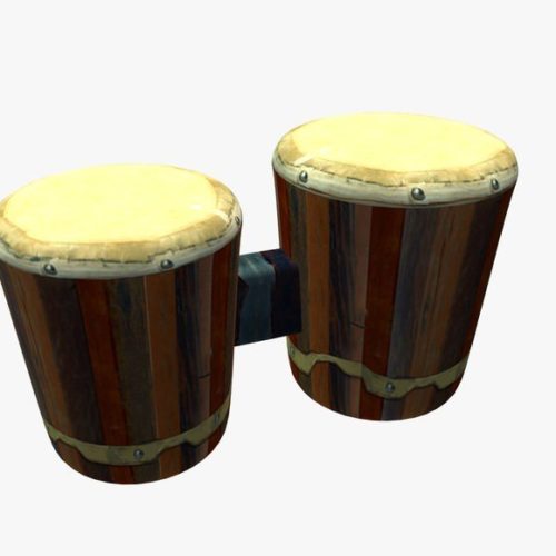 Bongo Instrument