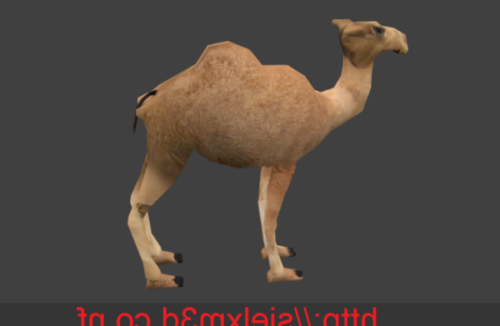 Low Poly Camel Animal