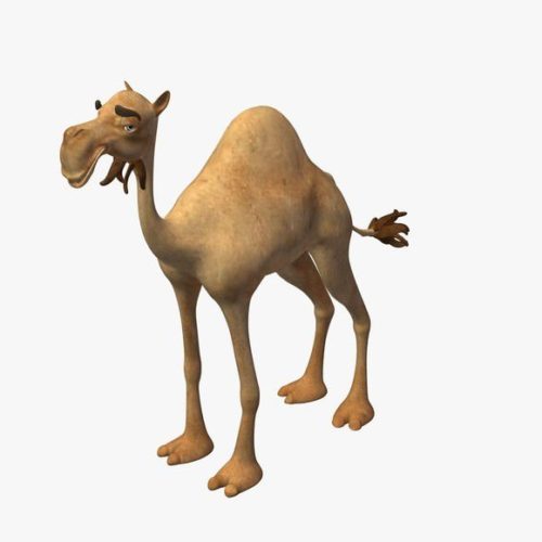 Camel Character