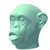 Chimp Monkey Face