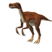 Chirostenotes Dinosaur