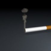 Cigarette With Smoke