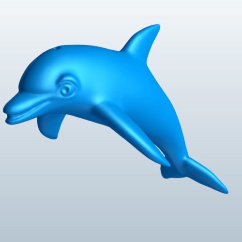 Dolphin Baby Jump