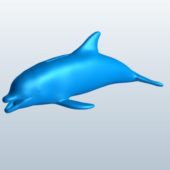 Dolphin Sculpt