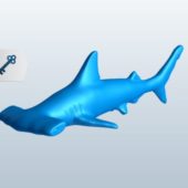 Sea Animal Hammerhead Shark