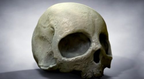 High Poly Human Skull