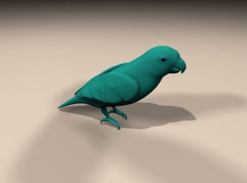 Lorikeet Parrot Animal