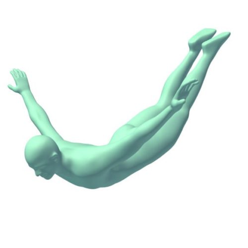 Male Swan Dive Character